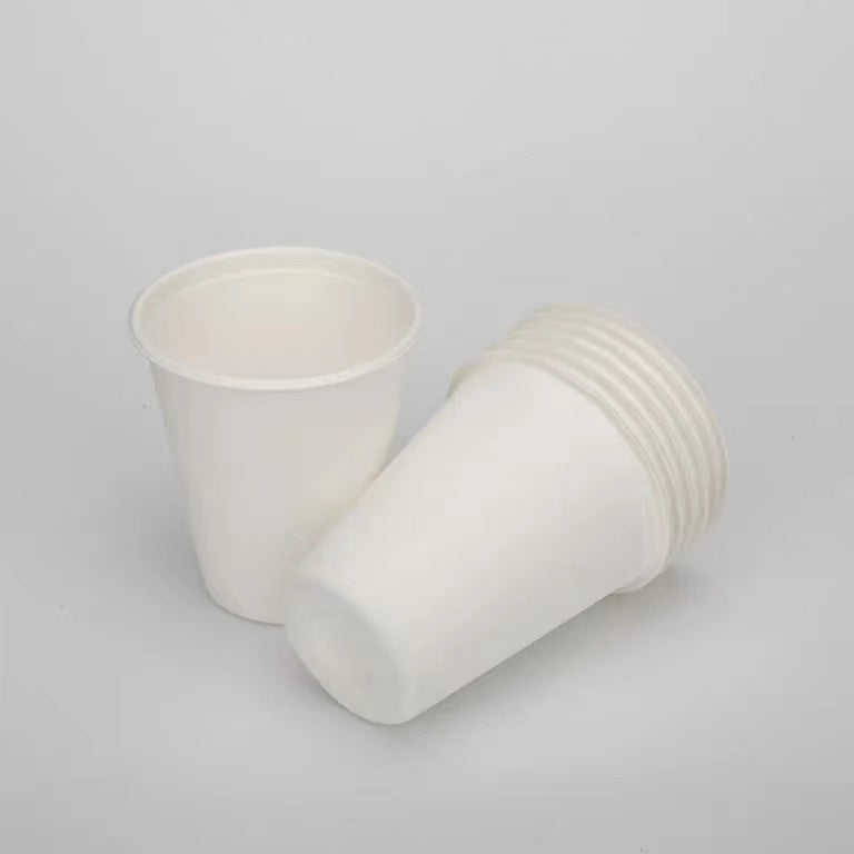 8oz杯,連蓋